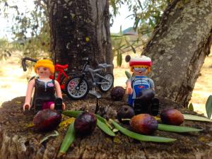 1526584_10151793592571930_2051309986_n