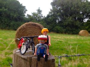 Nuestros amigos que no se pierden una