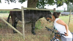 Mayte haciendo amigos en el camino
