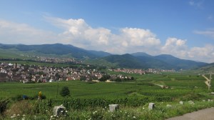 Paisaje del viñedo de Alsacia