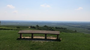 Vistas de la llanura alsaciana desde lo alto