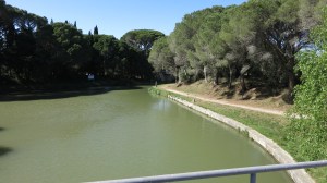 Bifurcación de Canal.