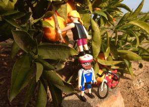 Degustando el género