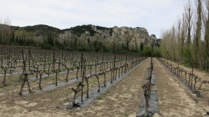 Paisaje del camino a Avignon