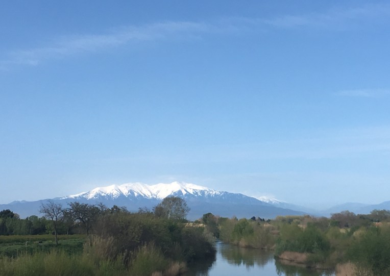 FullSizeRender 2.jpg